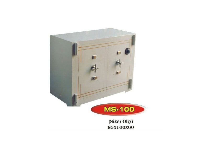 MS-100