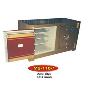 MS 110-1